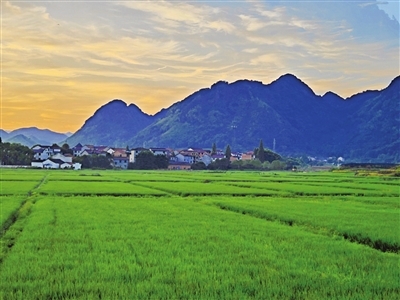 田園風(fēng)光 壯美如畫(huà)